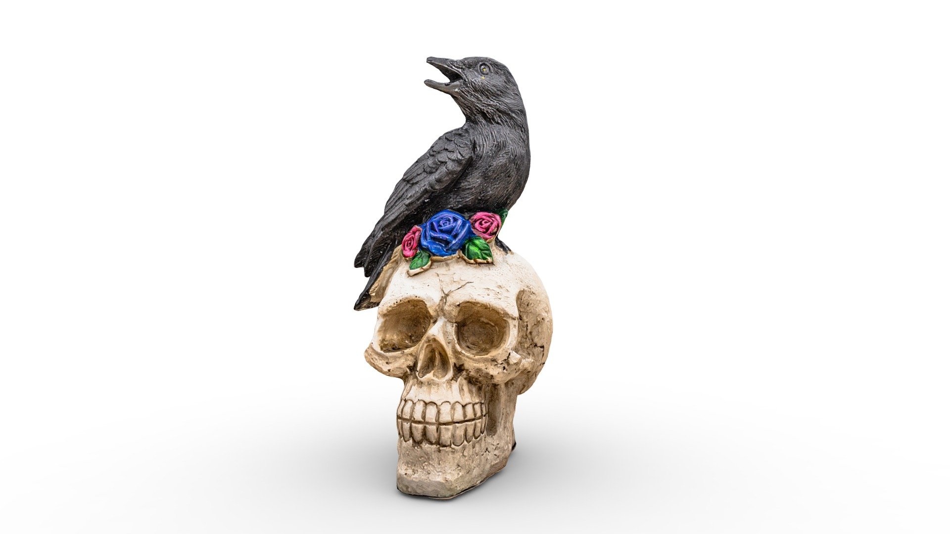 Raven on a skull 3d model