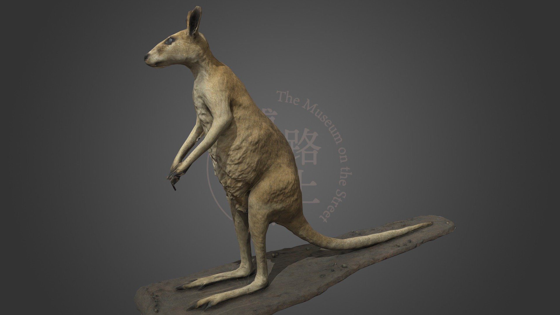 NSMT-M32011 Agile wallaby スナイロワラビー 3d model