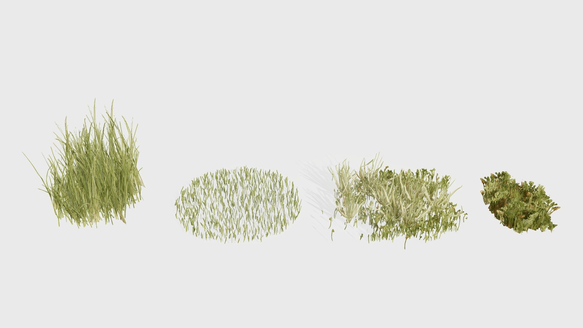 Grass Pack 3d model