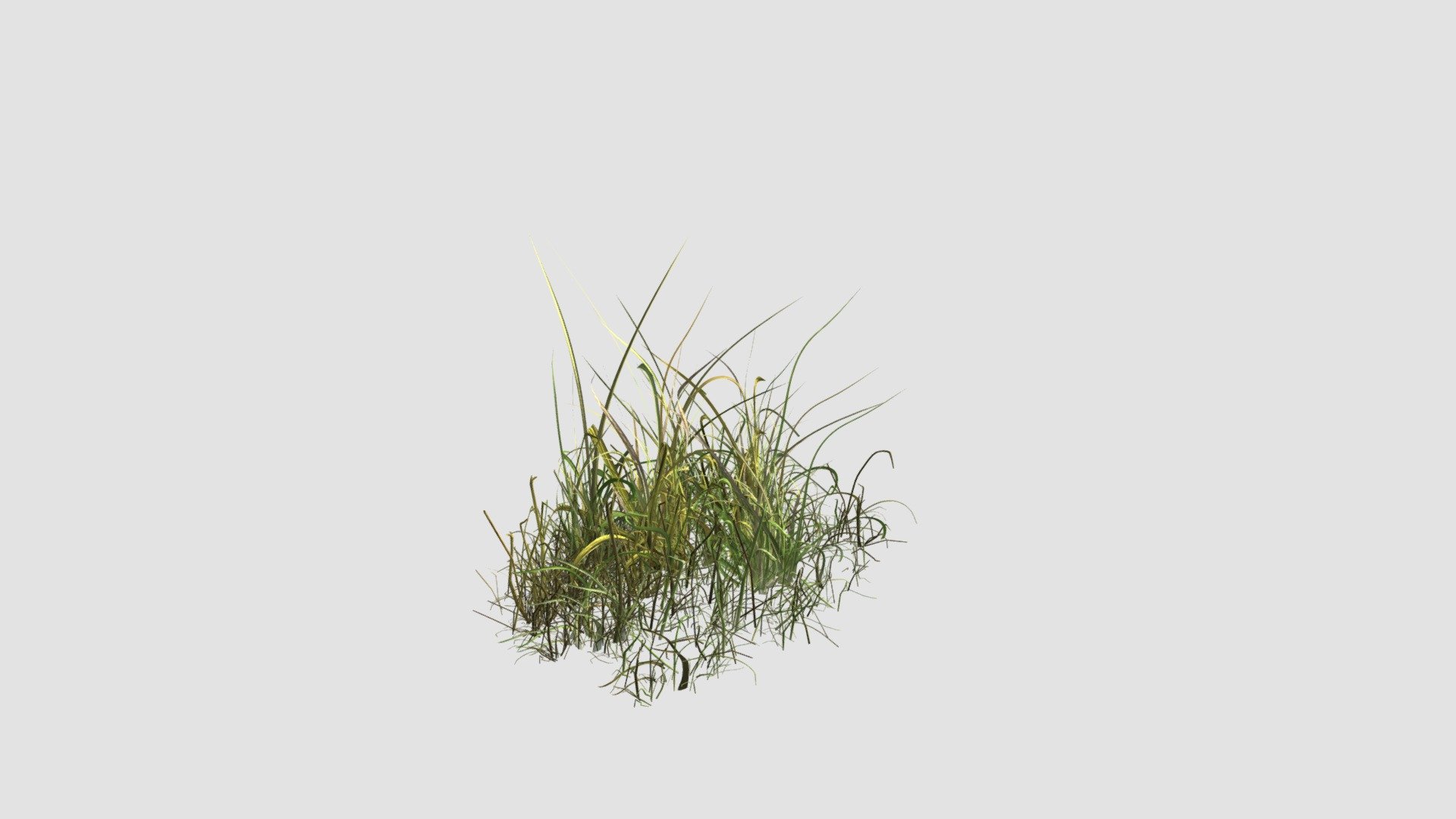 simple grass 3d model