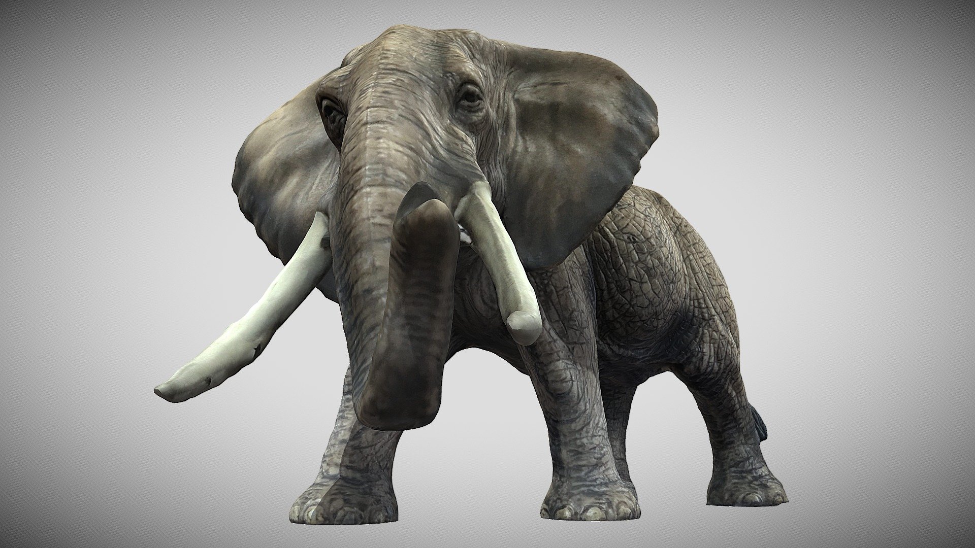 Big Elephant 3d model