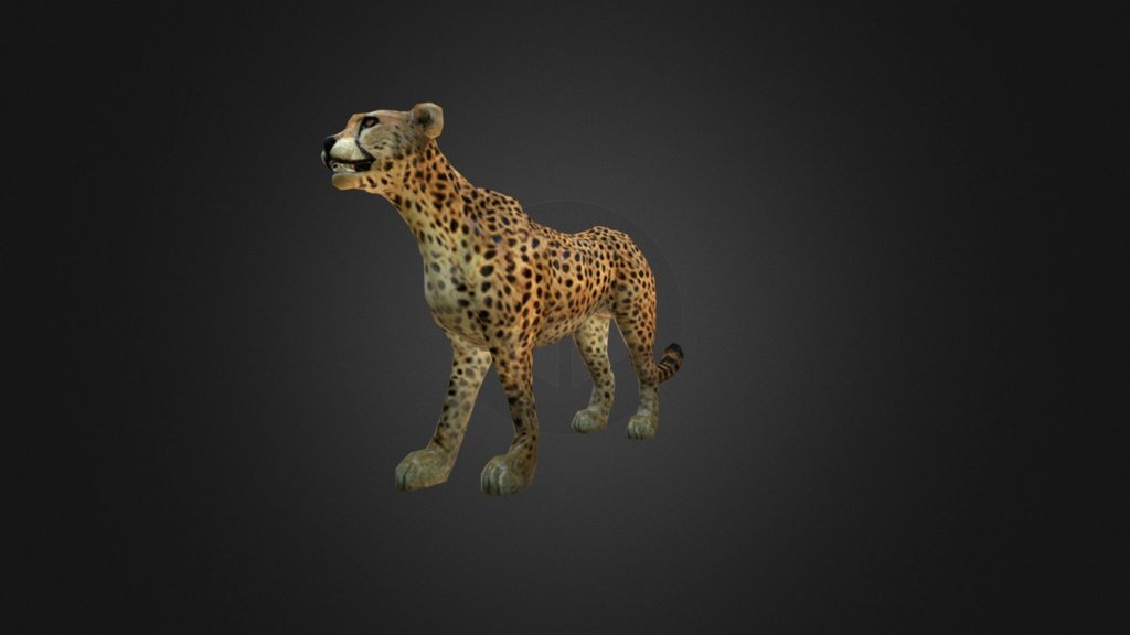 Cheetah Low Poly Game Animal 3d model