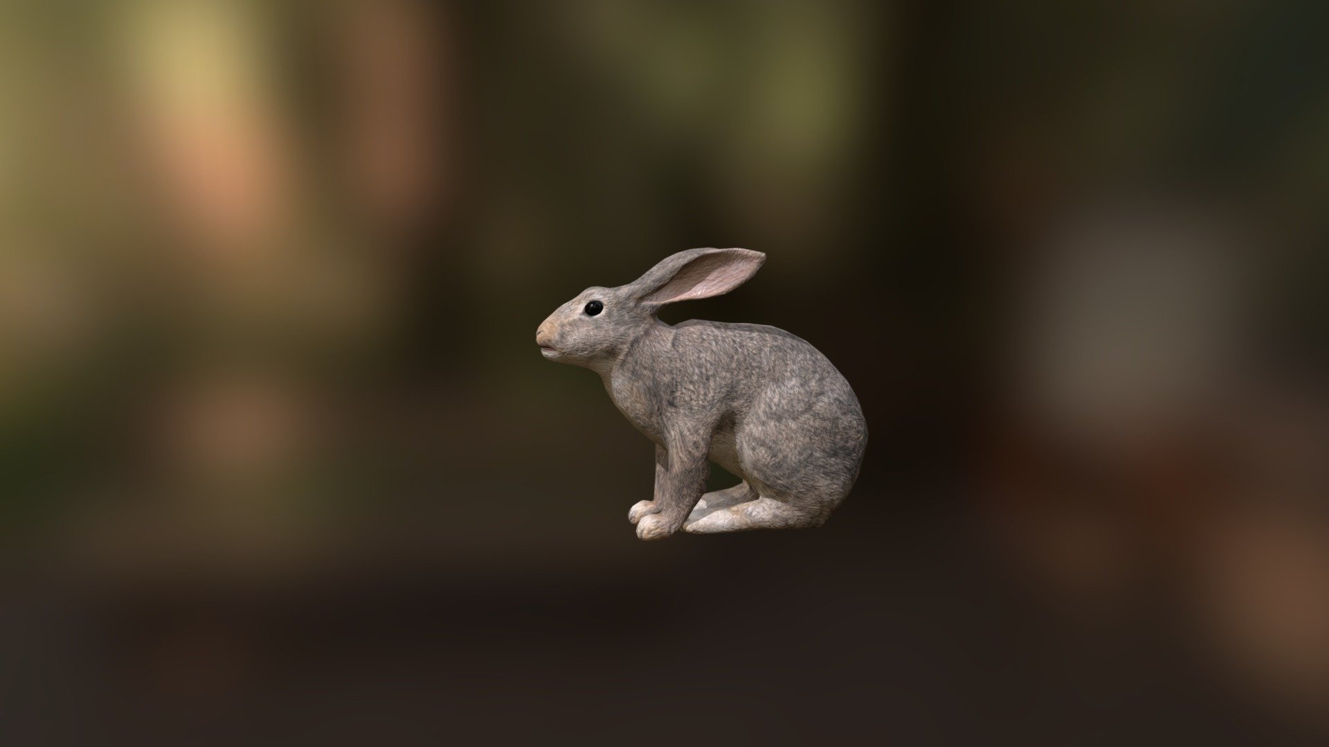 Rabbit 3d model