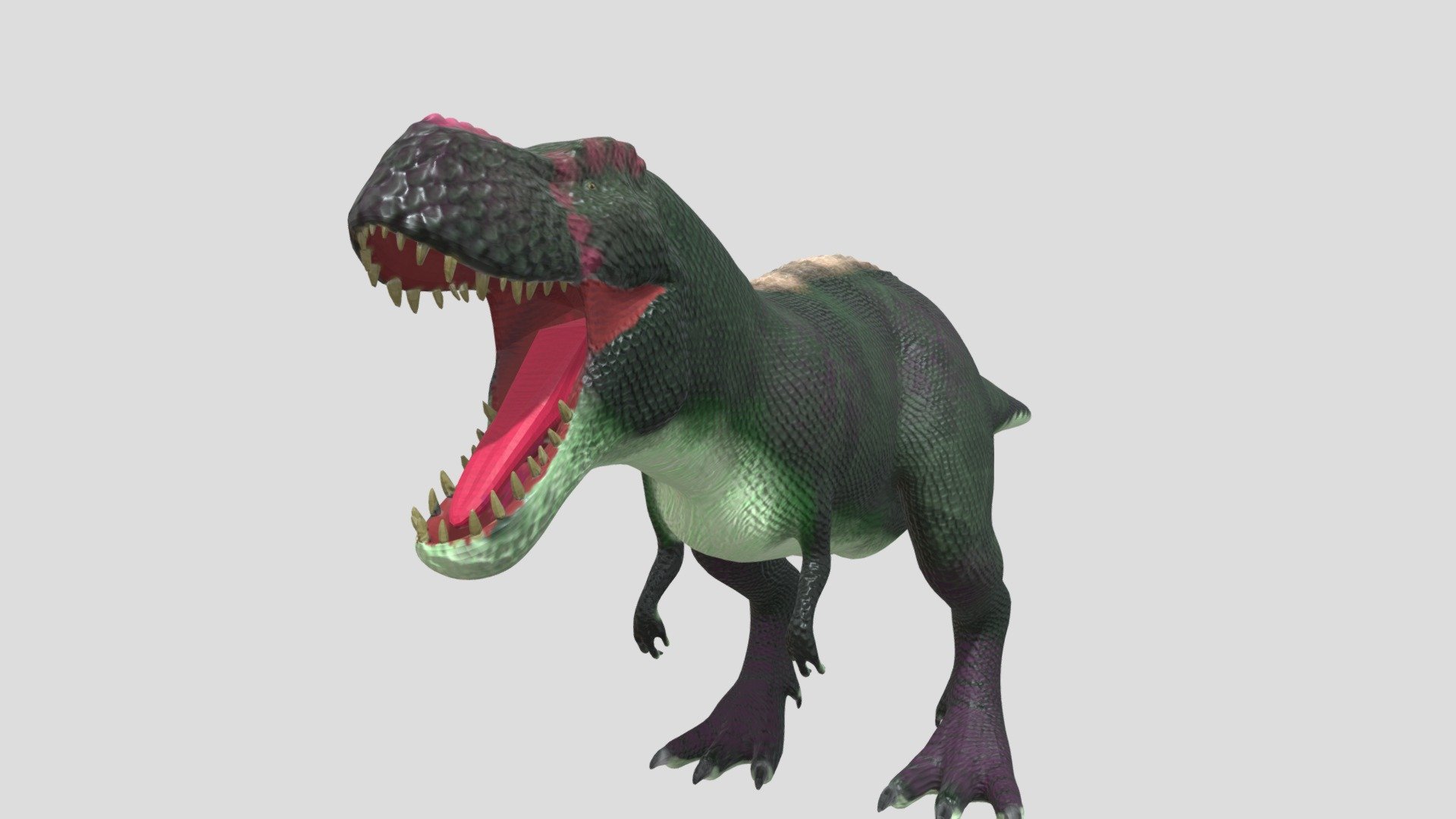 Tyranosaurus Rex 3d model