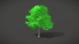 Anime Nature Tree 01