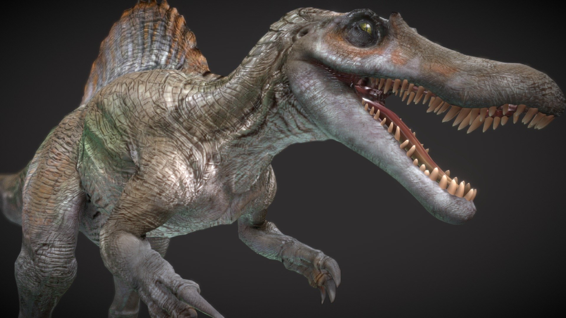 Spinosaurus Hybrid 3d model