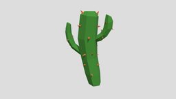 Cactus