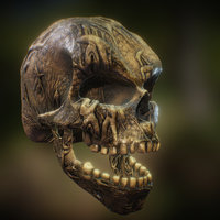 Skull