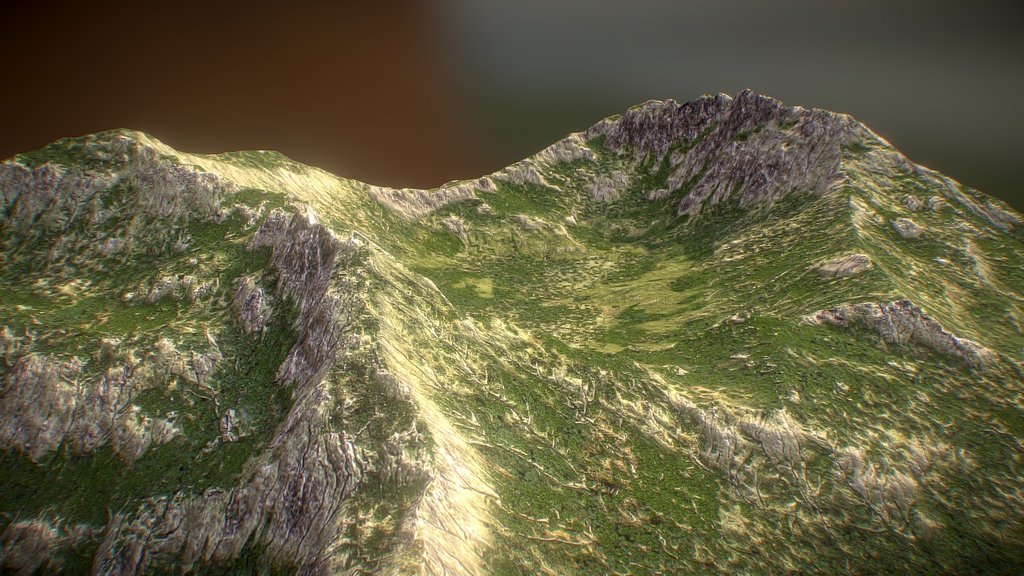 *Free* Quick terrain test 3d model