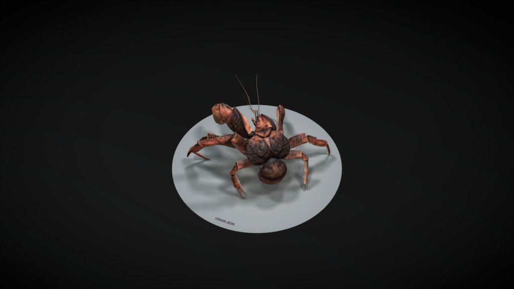 Coconut Crab 3d model