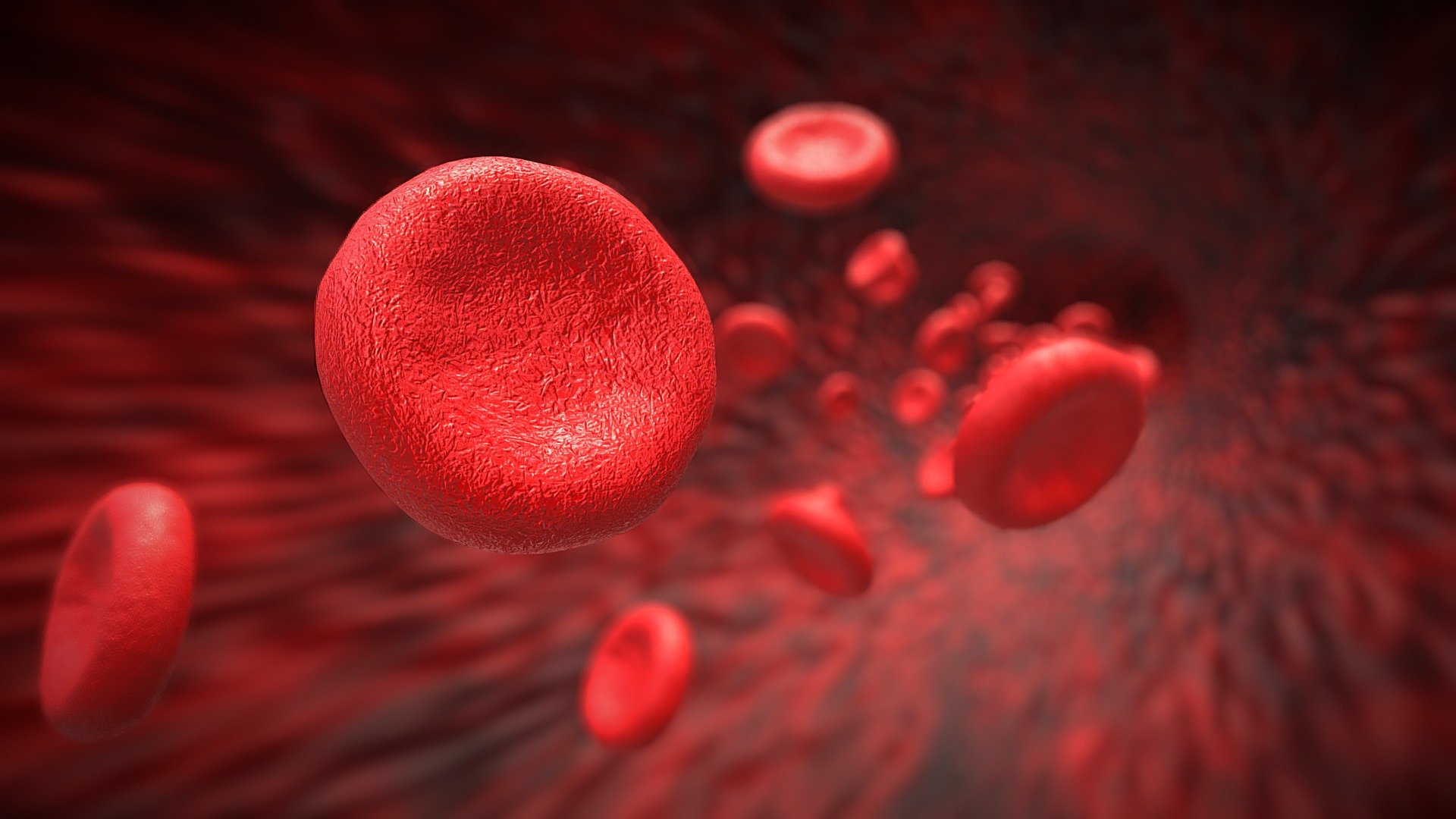 Red Blood Cells 3d model