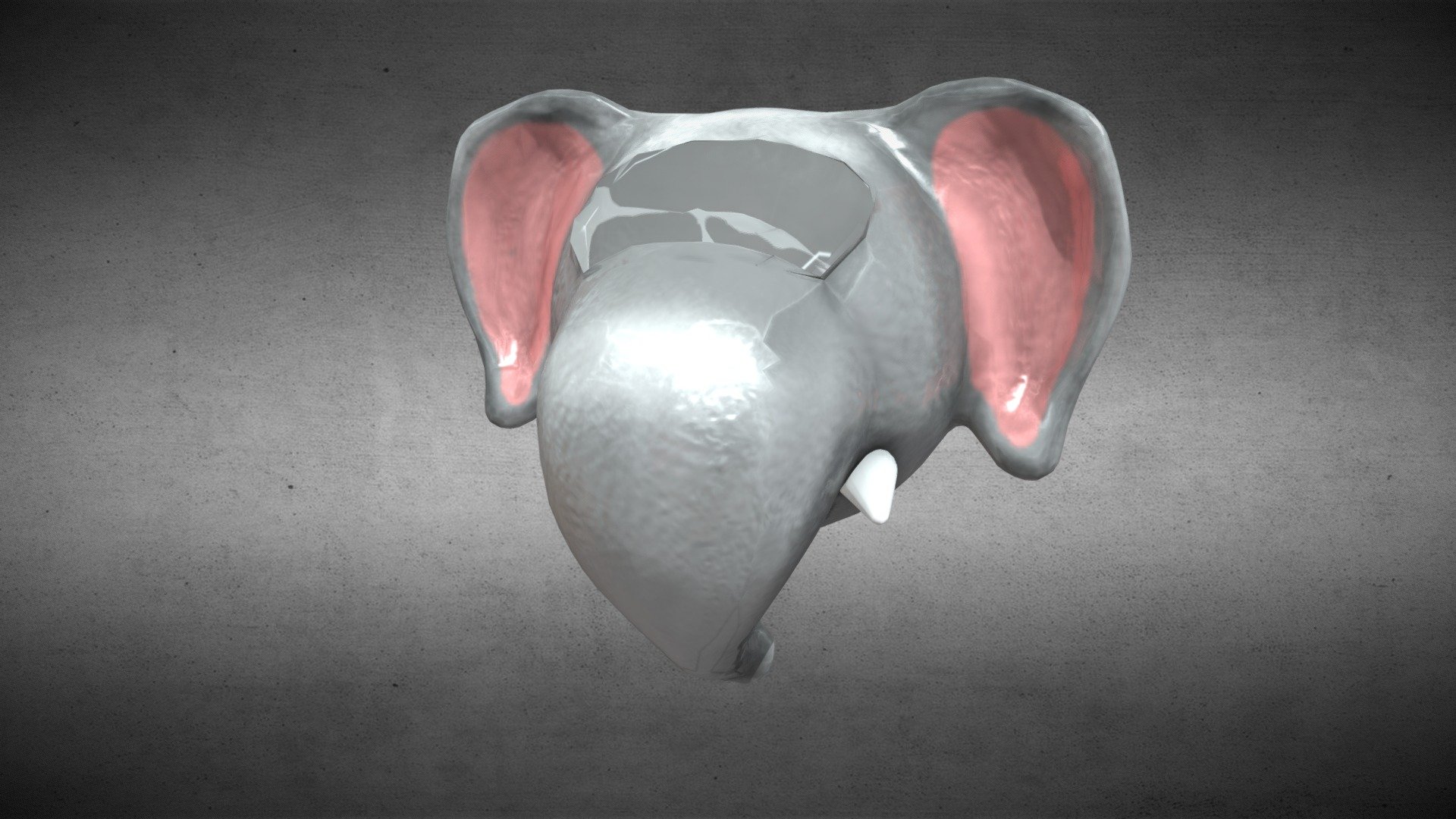 Elephant Animated 3d model