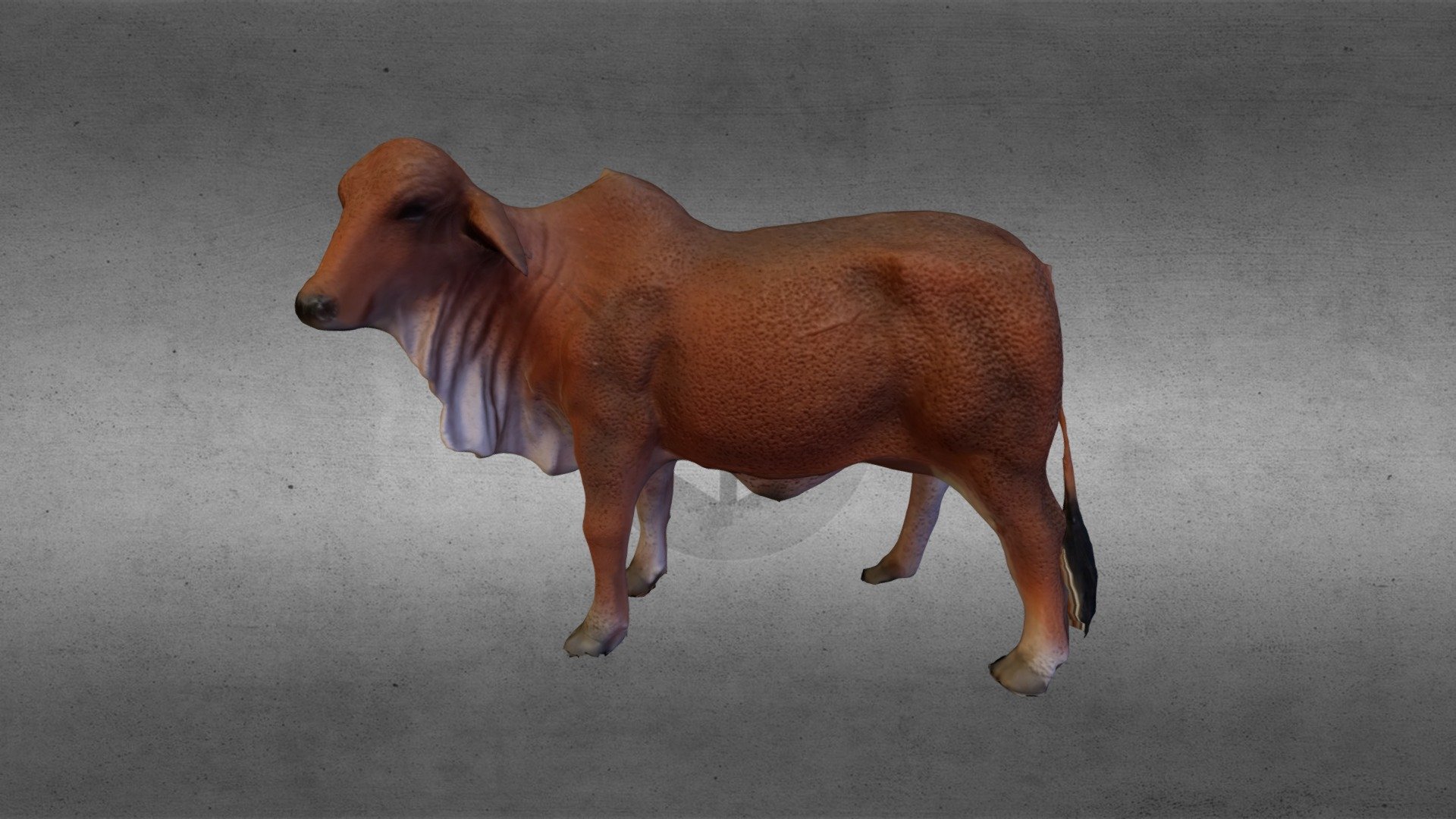 Cow 3d model