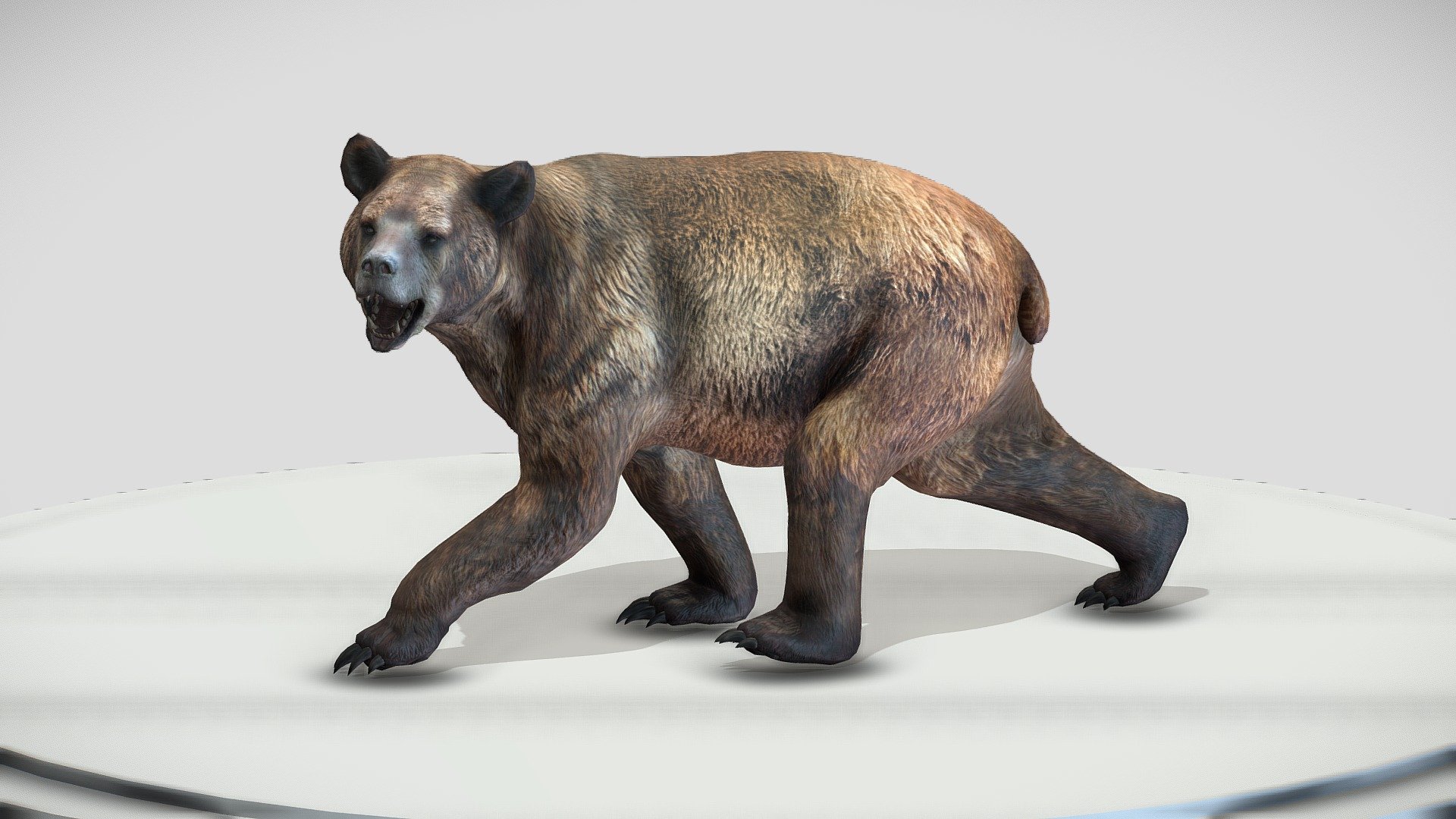 Arctodus simus 3d model