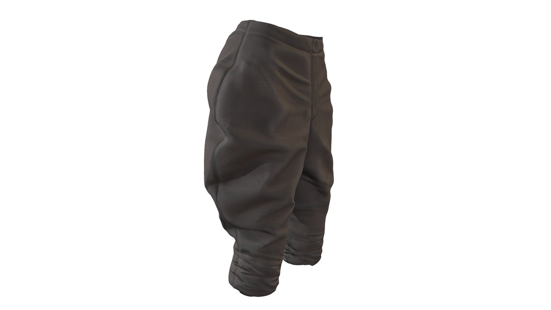 Baggy Pants 3d model