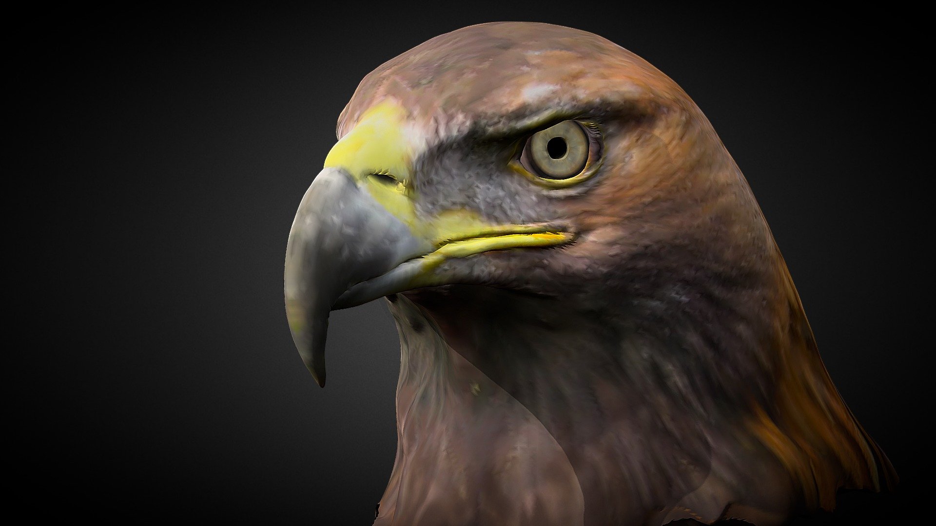 Golden Eagle 3d model