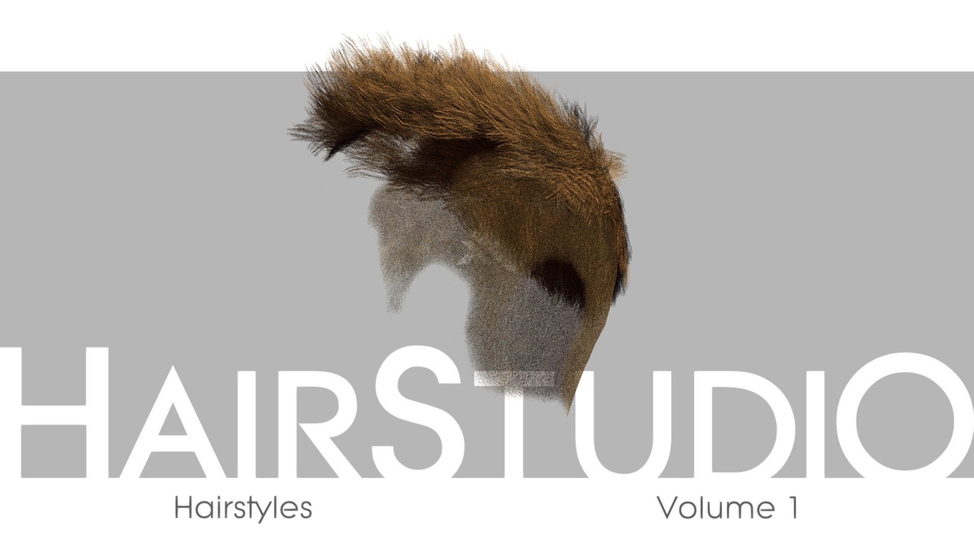 HairStudio Vol.01 3d model