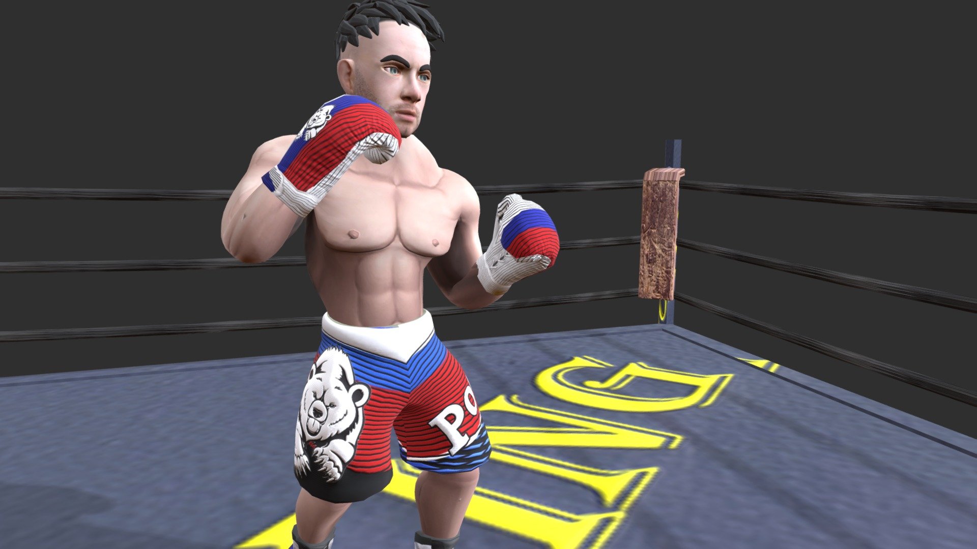 Boxer animated 3d model