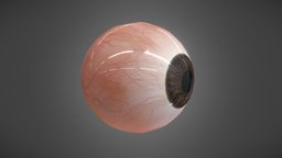 Realistic Human Eye