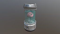 Brain Cylinder