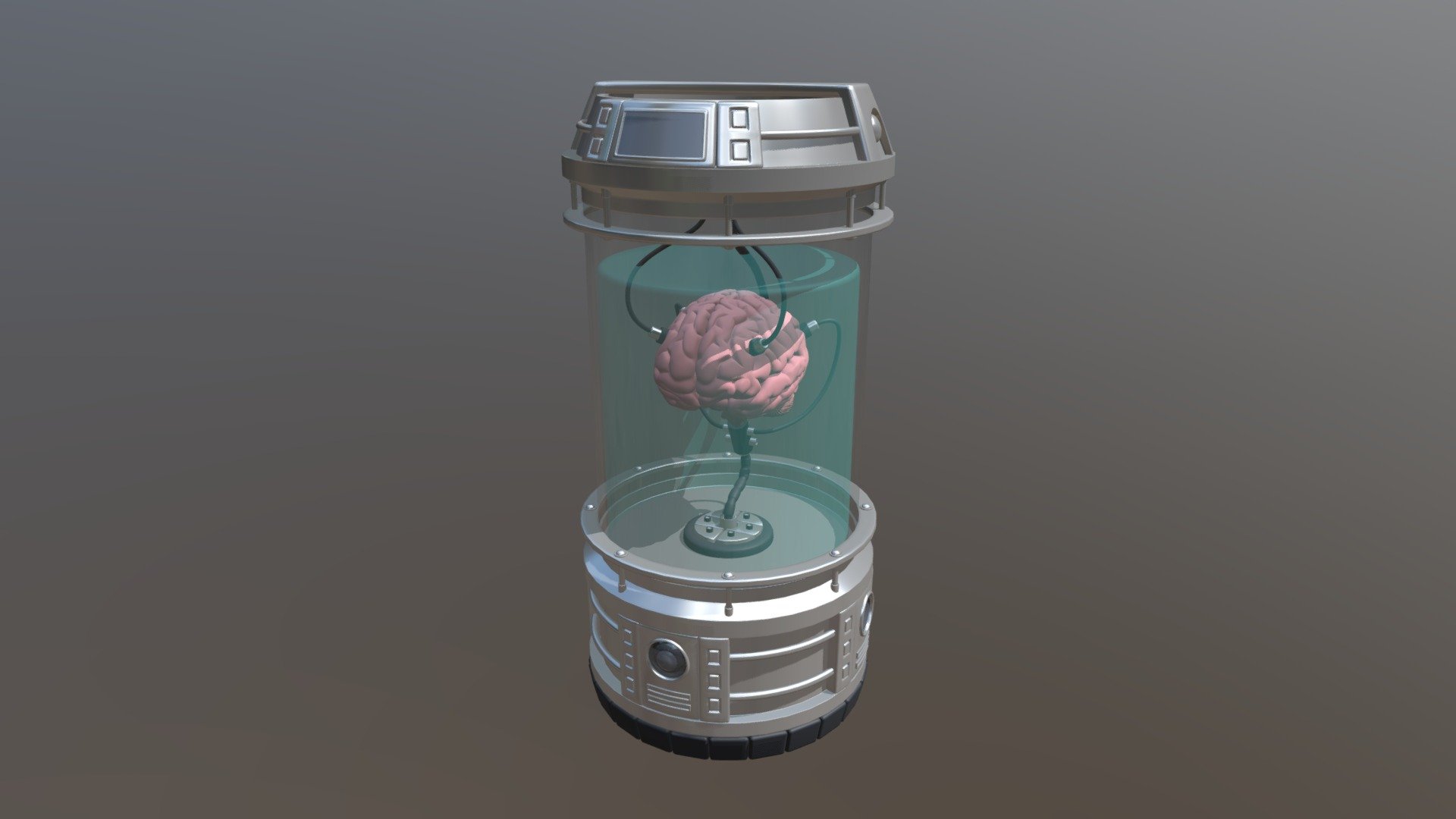 Brain Cylinder 3d model