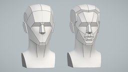 Basic & Secondary Planes of the Head (A. Loomis)