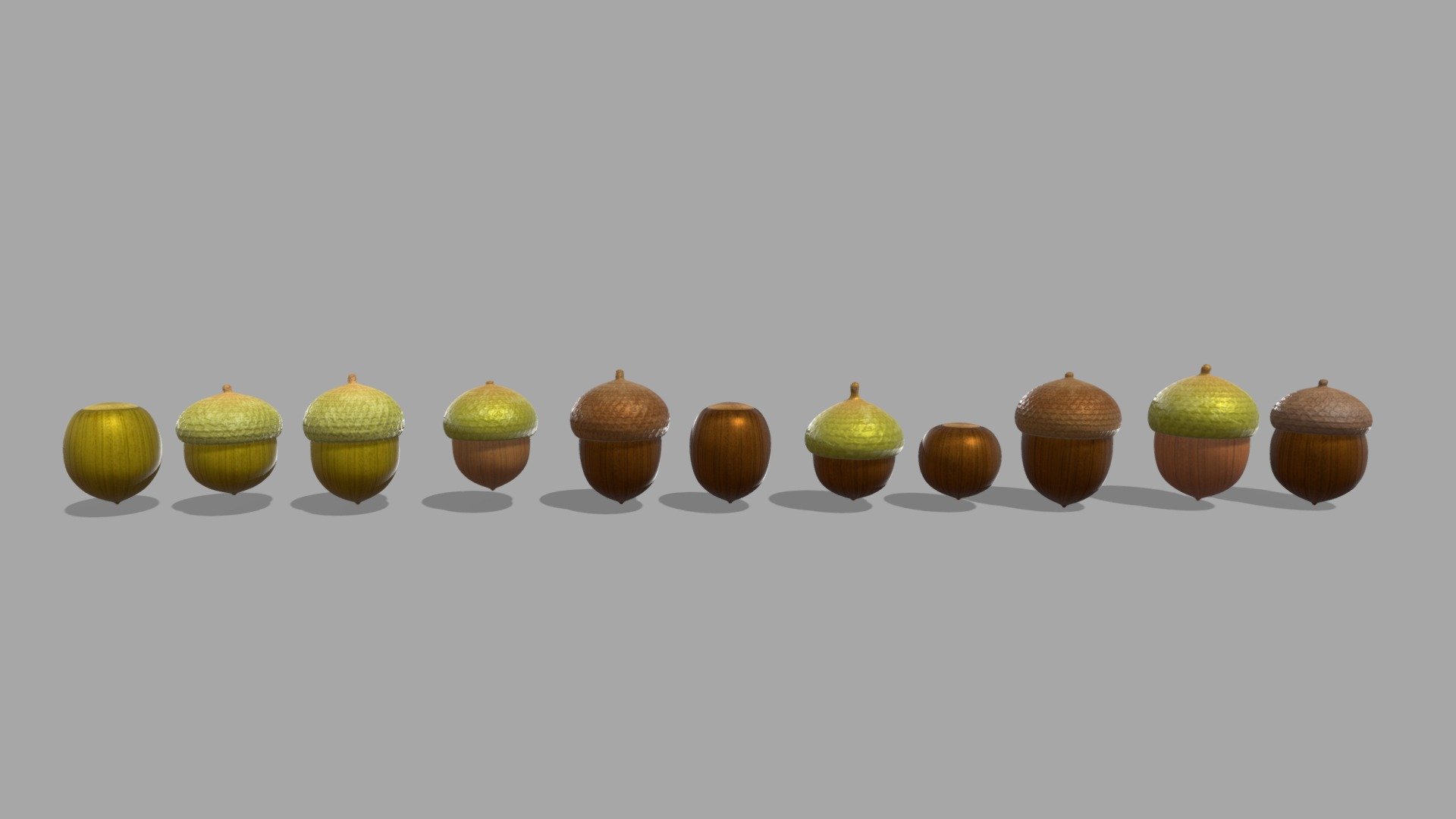 acorn 3d model