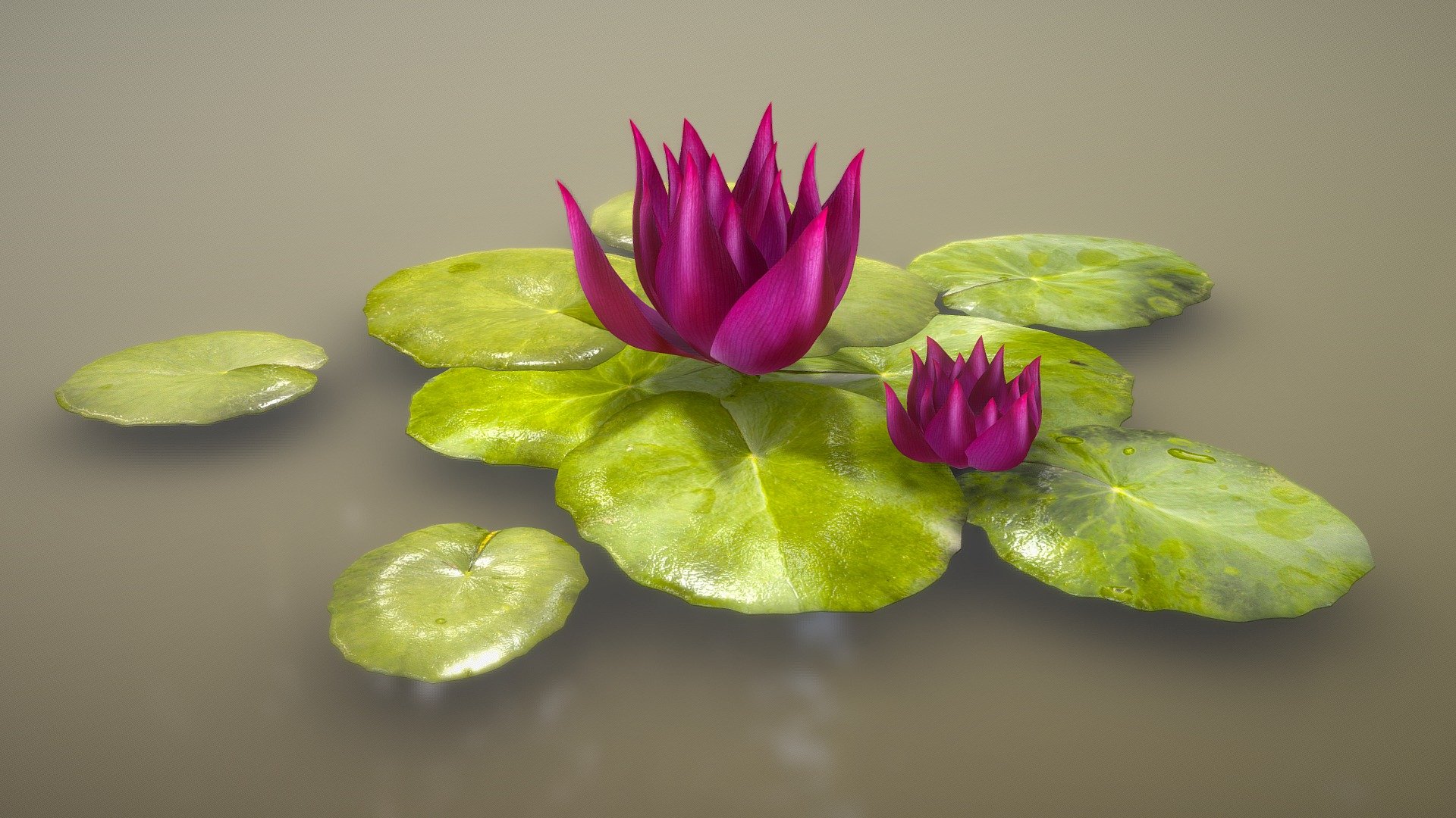 Lily Pads 3d model