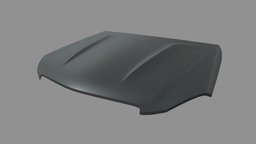 Car Bonnet 06