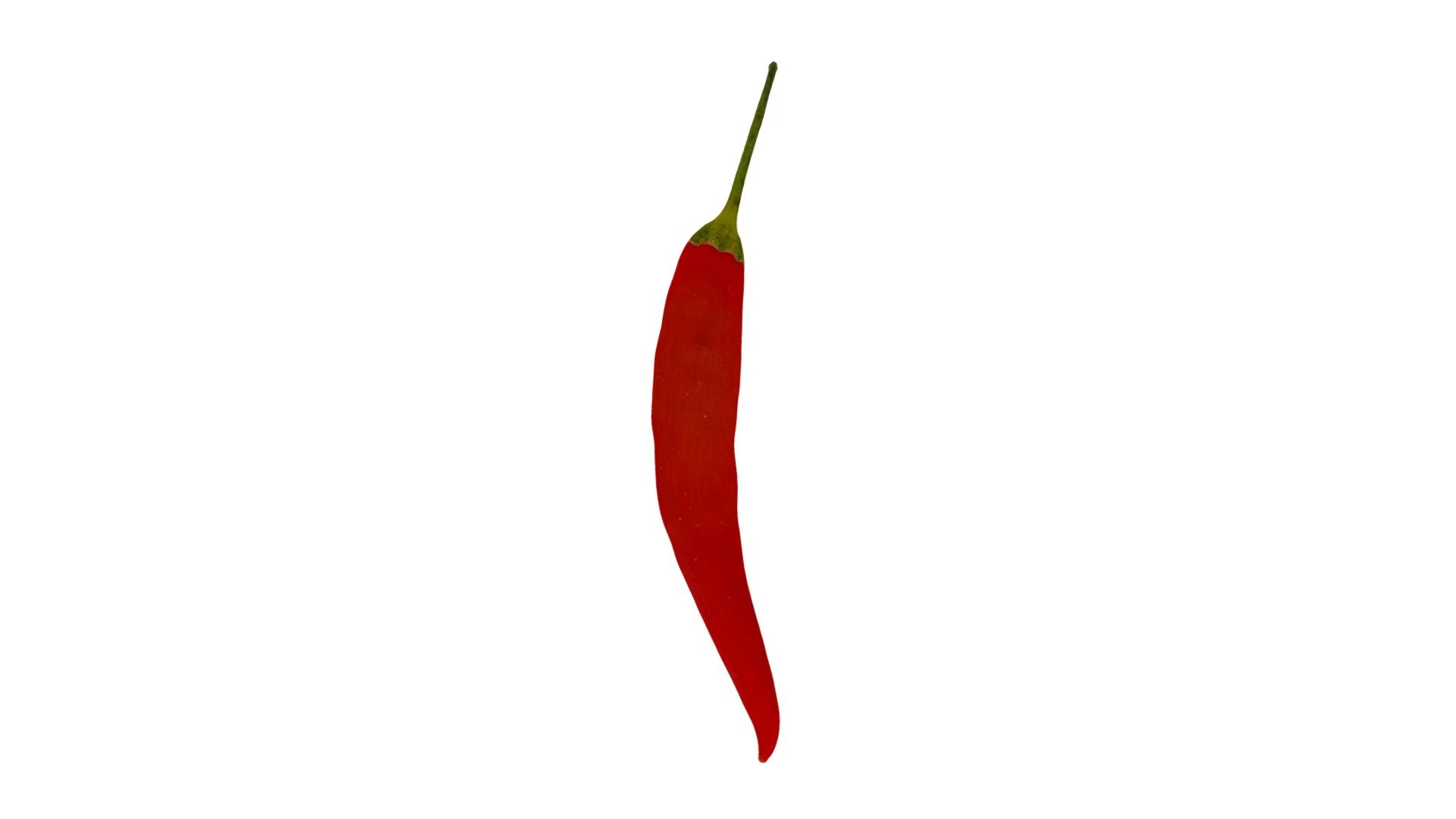 Chili #1 3d model