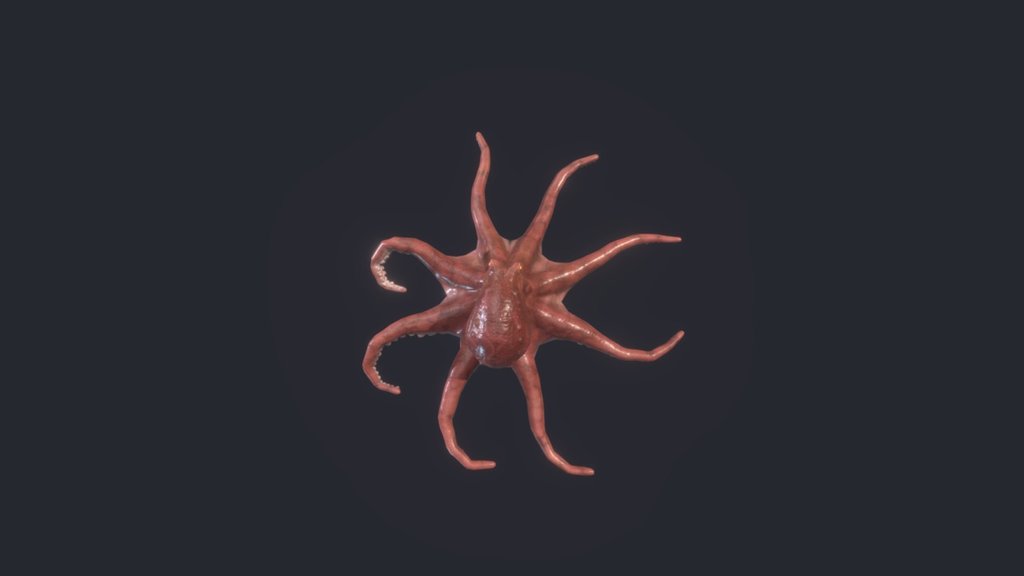 Octopus 3d model