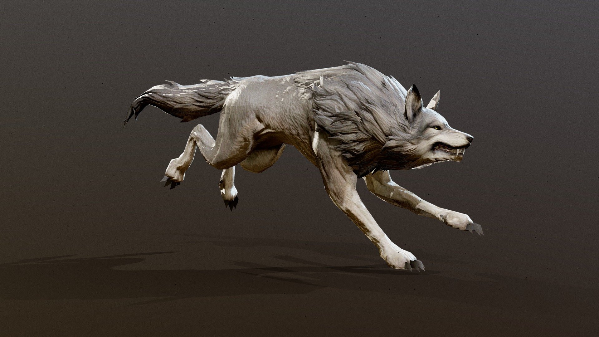 Wolf Run-cycle Animation 3d model