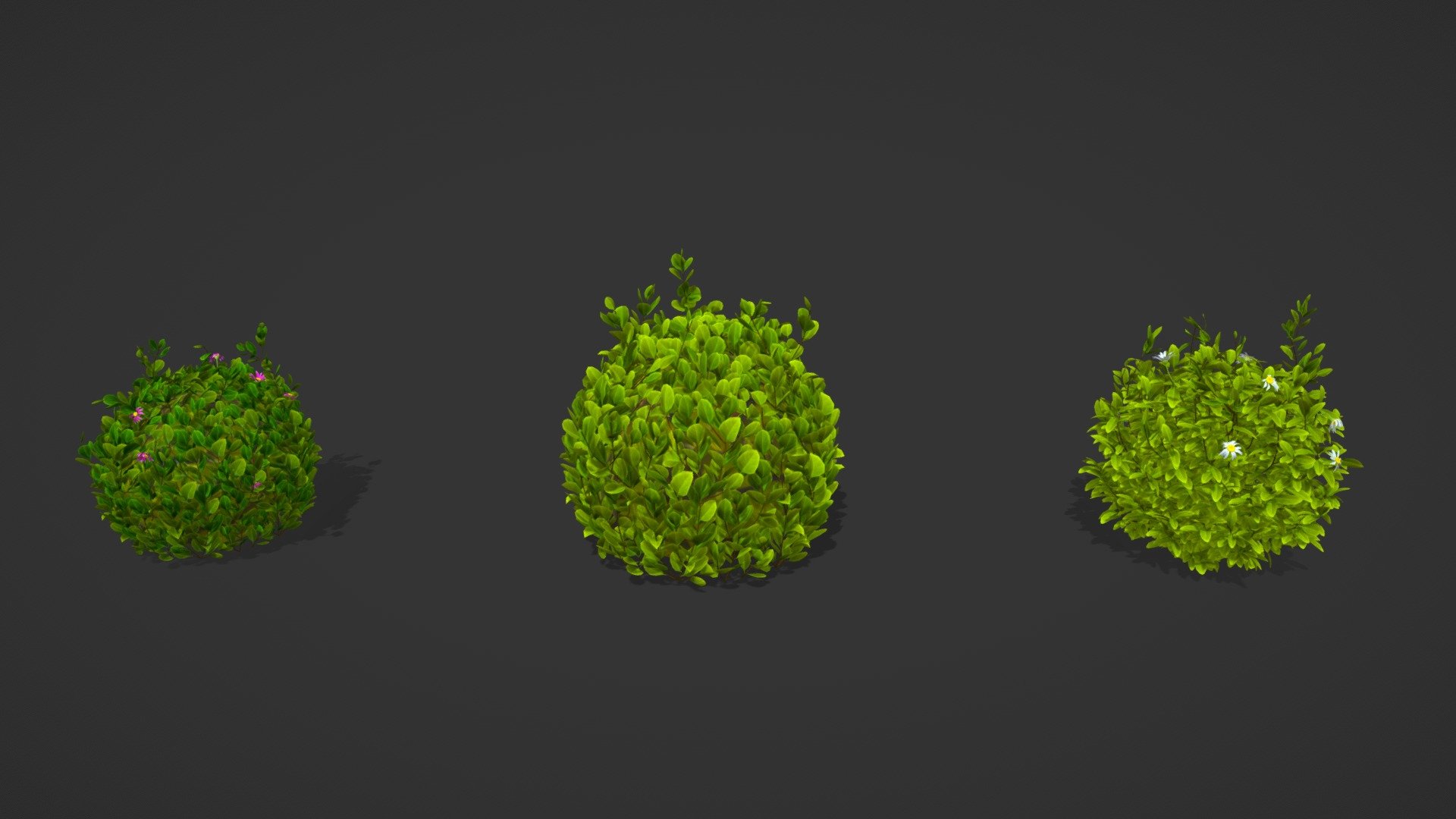 plant 3d model