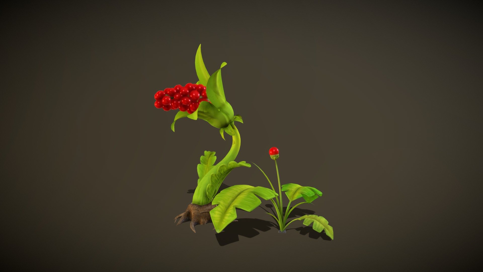 Stylized plants 3d models 3d model