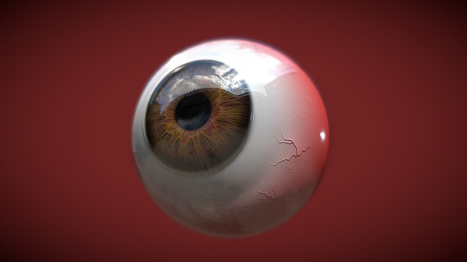 EYE 3d model