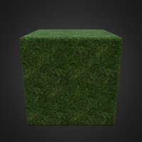 Grass_01