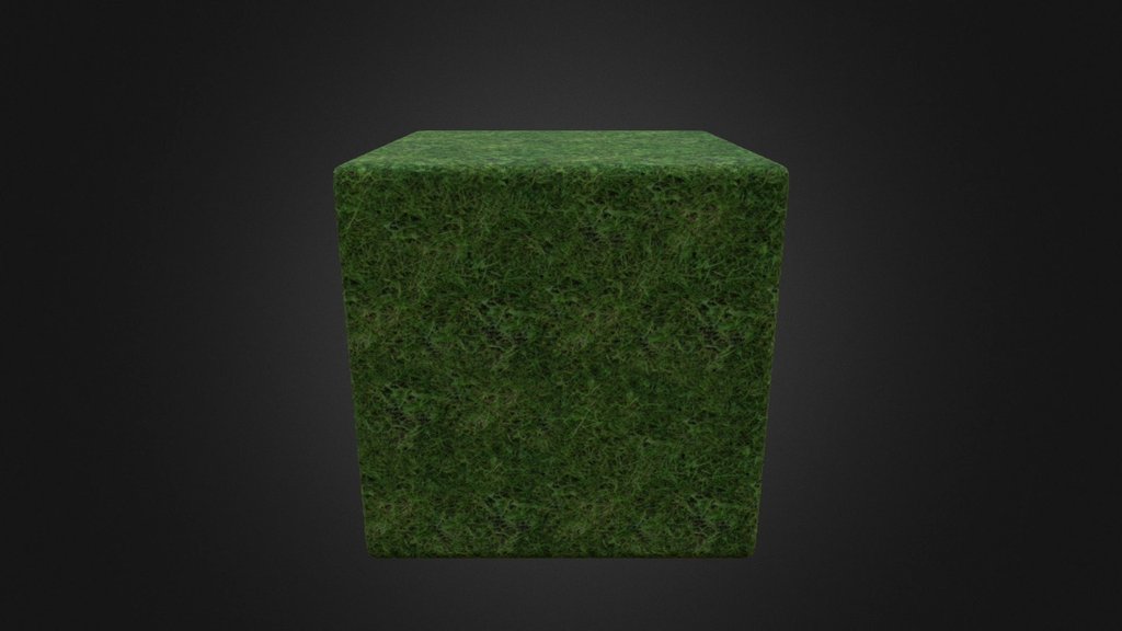 Grass_01 3d model