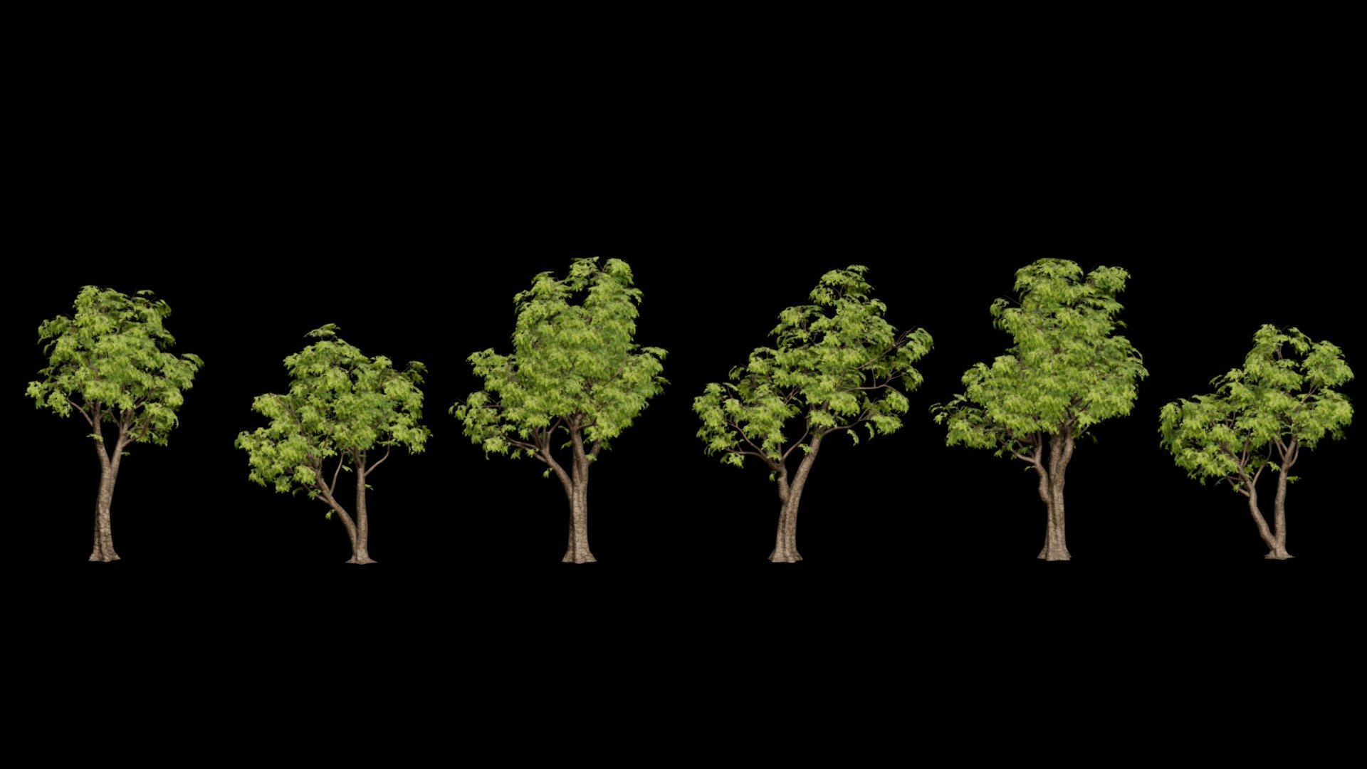 Tree Pack 6 3d model