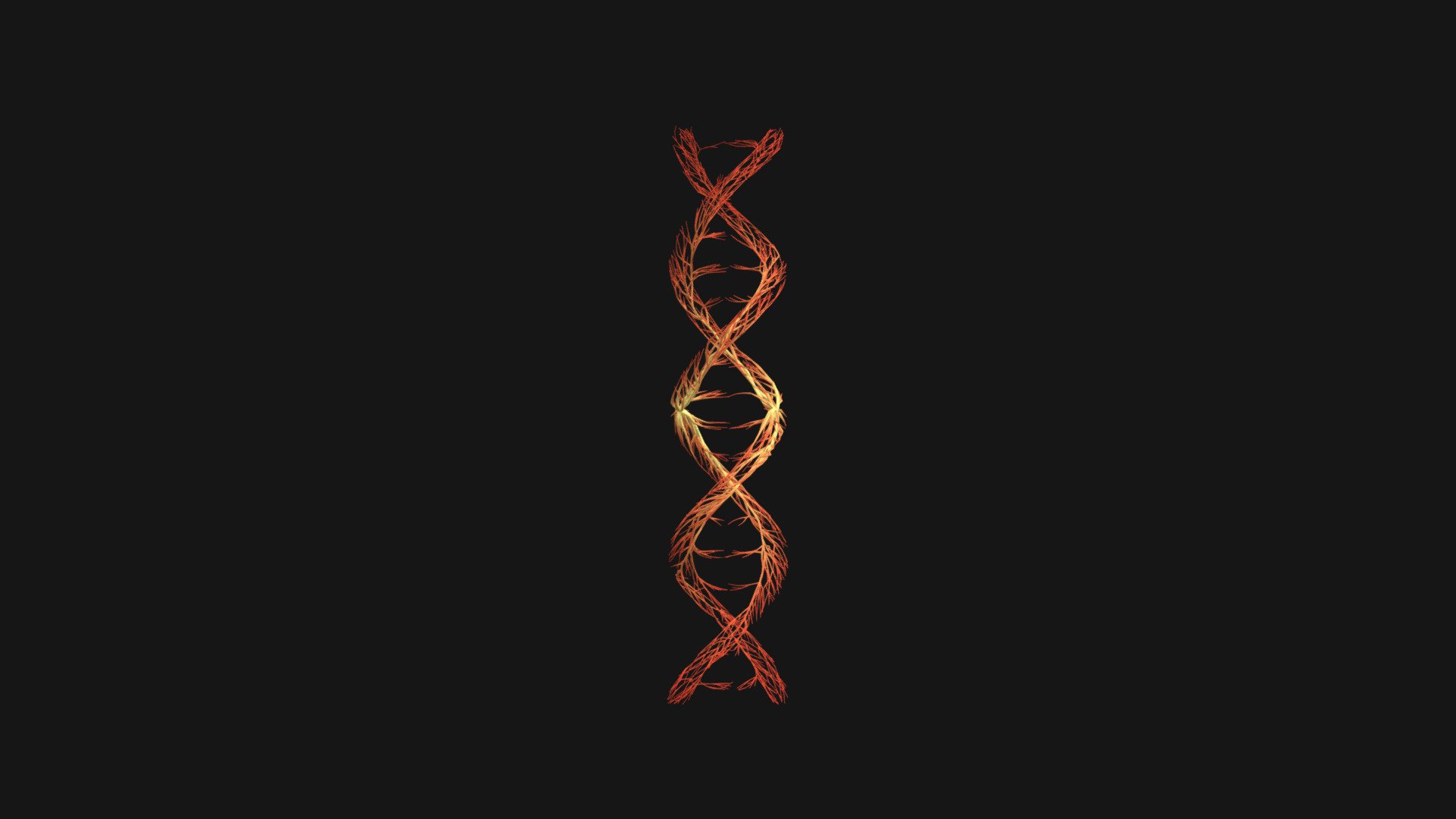 Human DNA unrolling growing animation 3d model