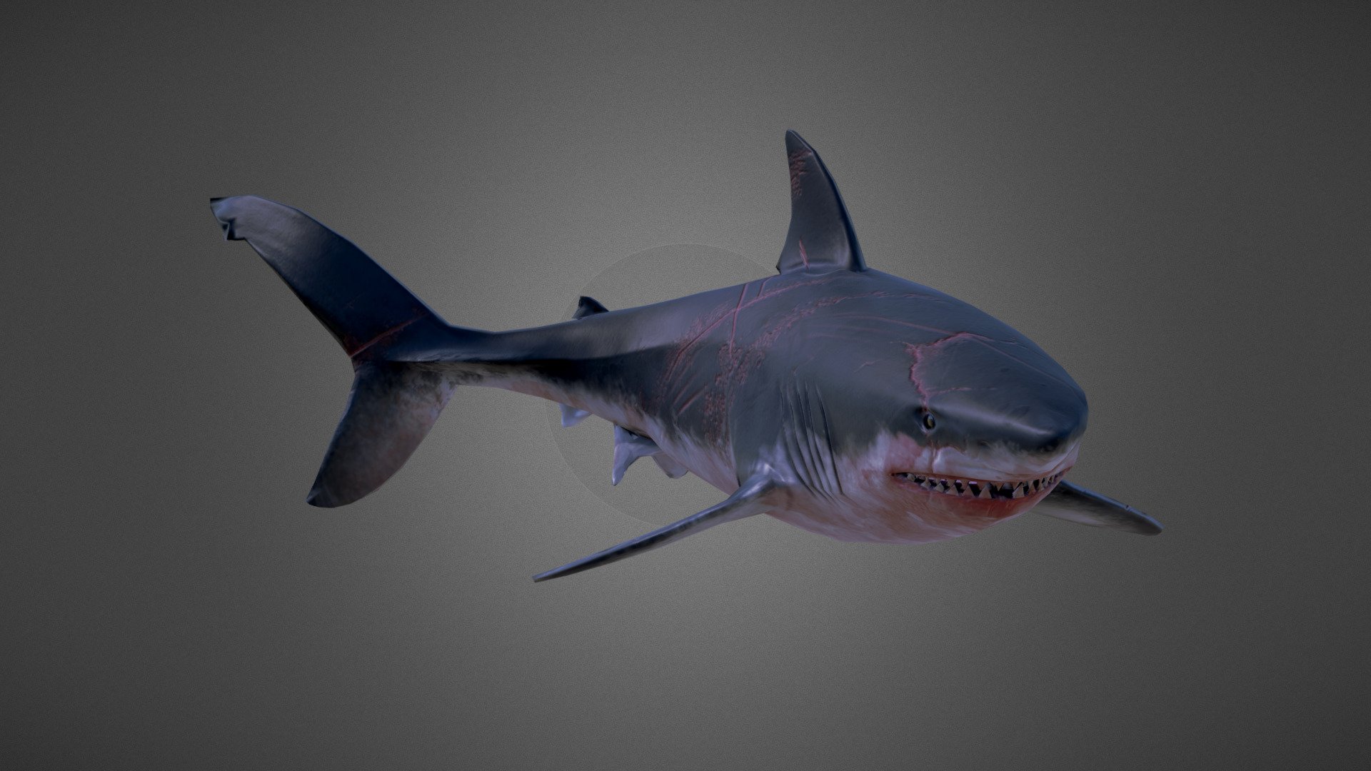 Megaladon 3d model