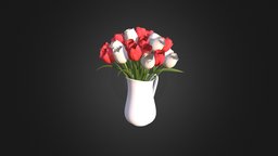 Red and White Tulips