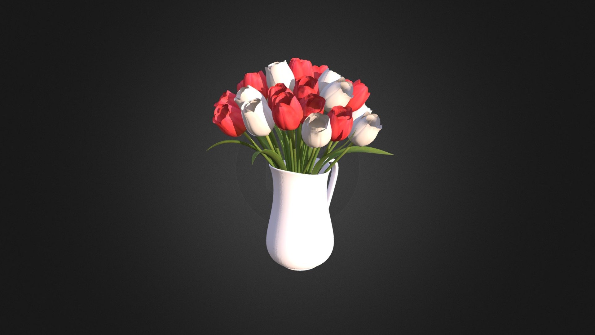 Red and White Tulips 3d model