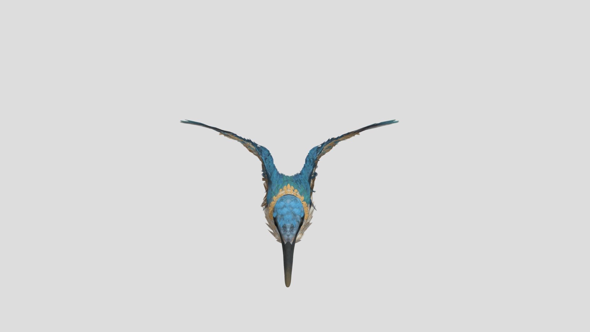 Updated Bird Alex 3d model