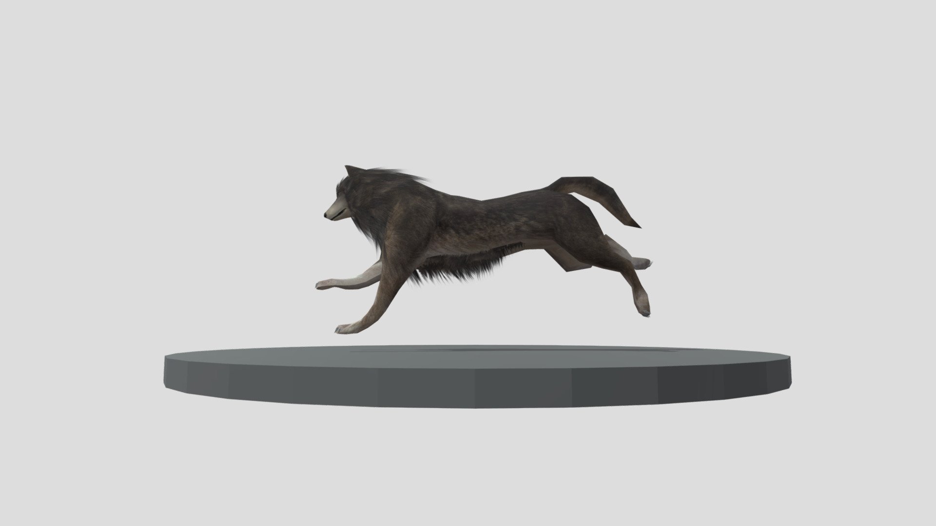 Animated Wolf 3d model