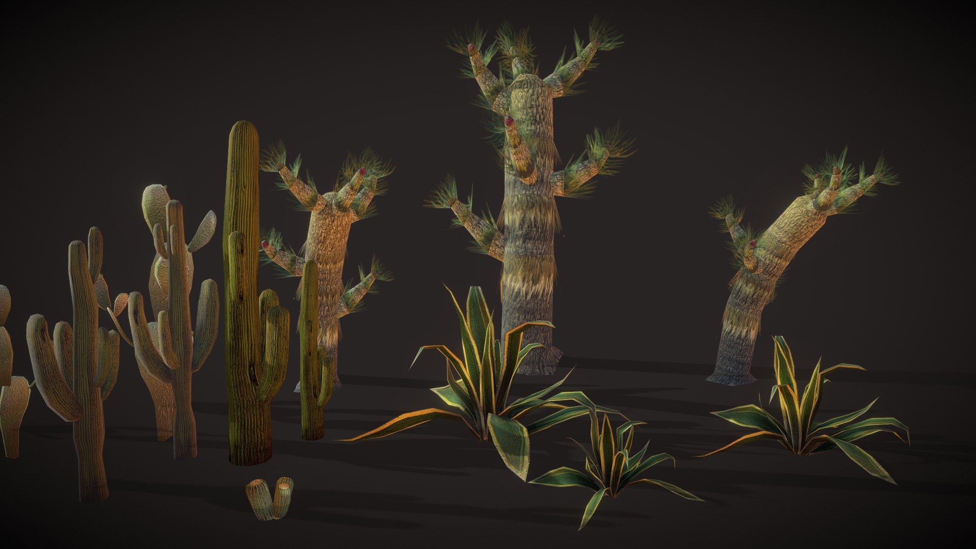 American Desert Plants Pack 3d model